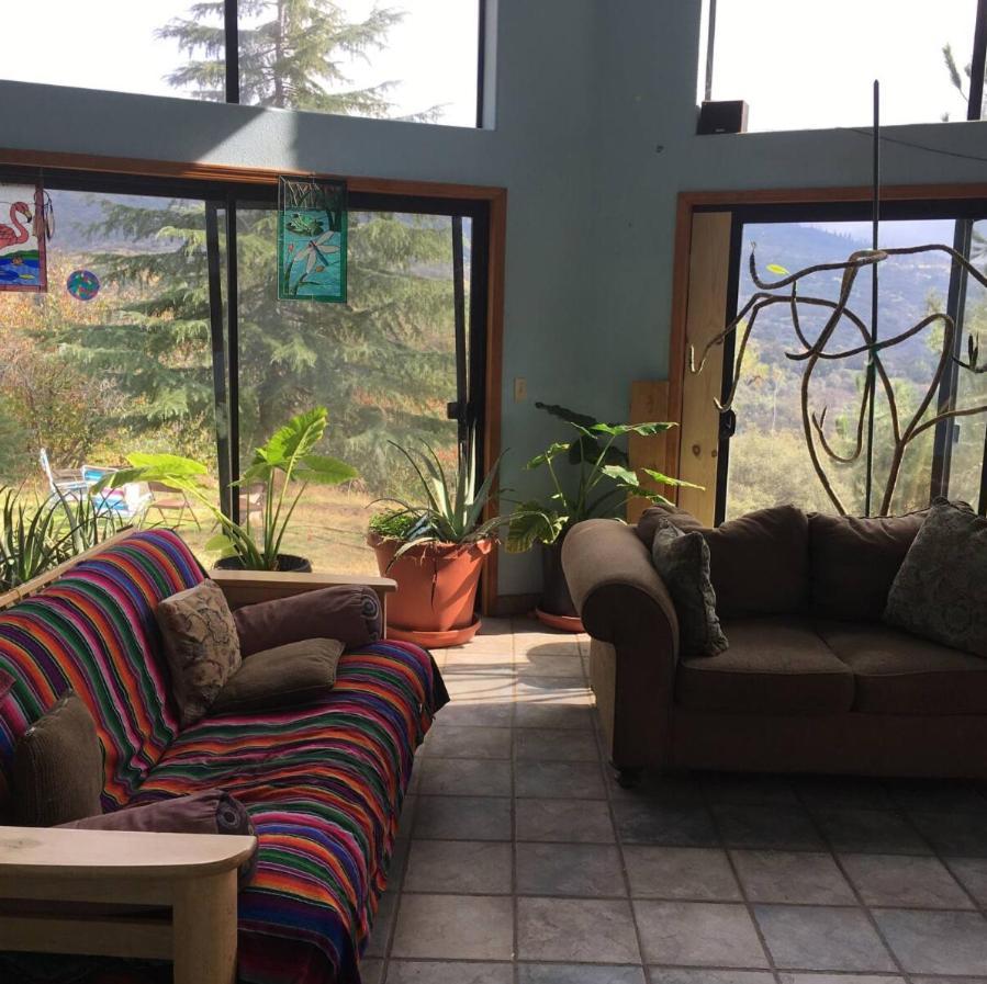 Sequoia Forest Retreat Badger 외부 사진