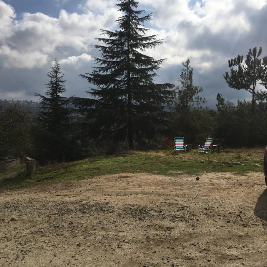 Sequoia Forest Retreat Badger 외부 사진